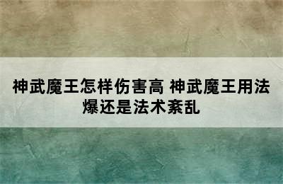 神武魔王怎样伤害高 神武魔王用法爆还是法术紊乱